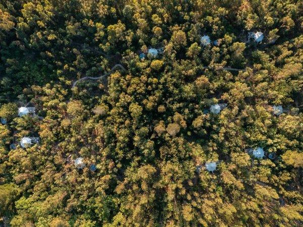 Siembra de árboles Hoteles Colsubsidio Siembra de árboles Hoteles Colsubsidio