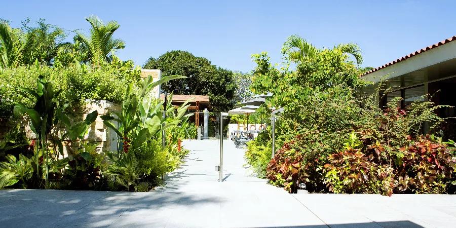 Zona de piscina Hotel Alcaraván Llanos Orientales Zona de piscina Hotel Alcaraván Llanos Orientales