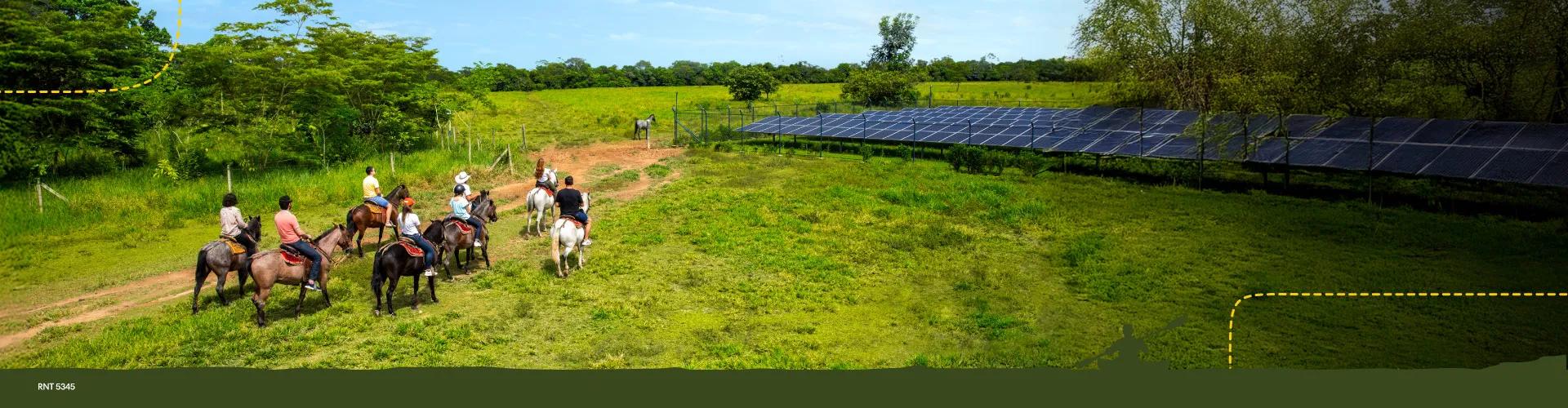 Descubre la magia de los Llanos Orientales Hoteles Colsubsidio Descubre la magia de los Llanos Orientales Hoteles Colsubsidio